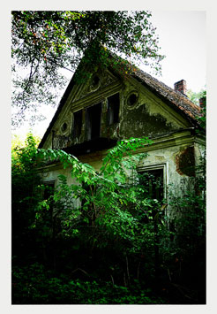 Ruiny dworu w Rzeszówku