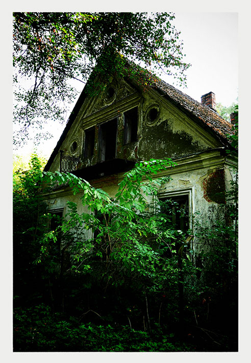 Ruiny dworu w Rzeszówku