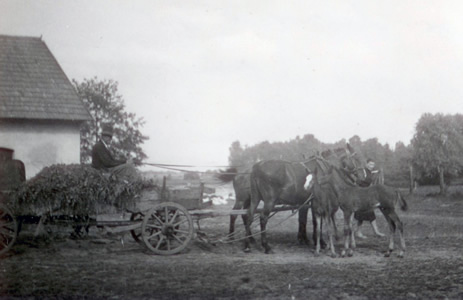 Furka przed lasochowską stajnią