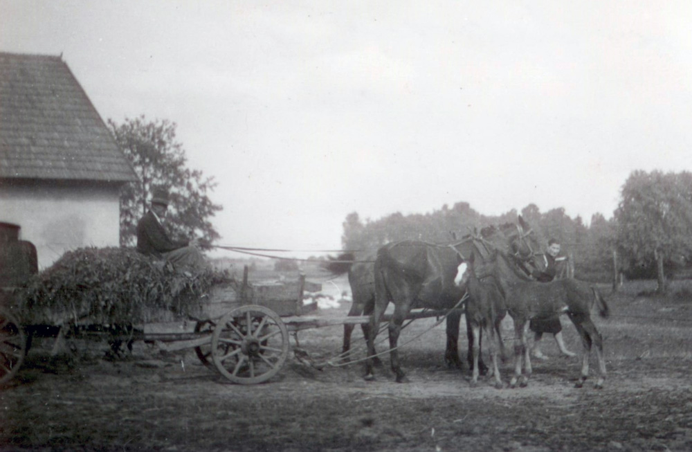 Furka przed lasochowską stajnią