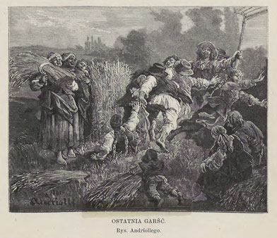 Ścinanie przepiórki