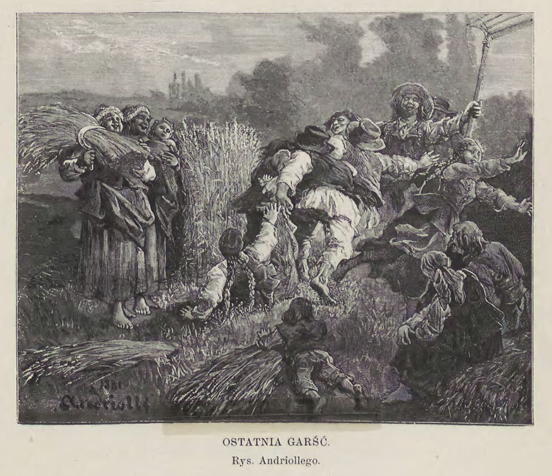 Ścinanie przepiórki