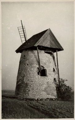 Wiatrak w Krasocinie